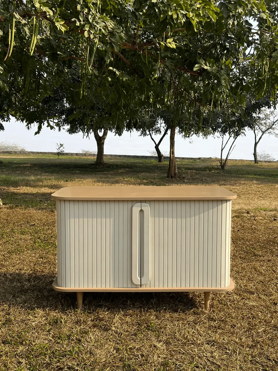 Chameli, consoles & cabinets